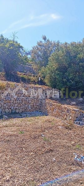 Foto 0af4c049-6d5f-4fe6-a057-74fa641ac670. Finca rústica a Castell de Castells