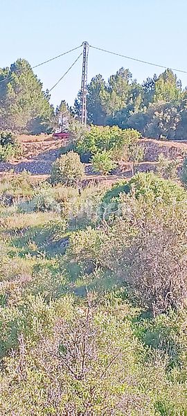 Foto 91a2a903-92ba-44d0-9cdb-094a41043212. Finca rústica a Castell de Castells