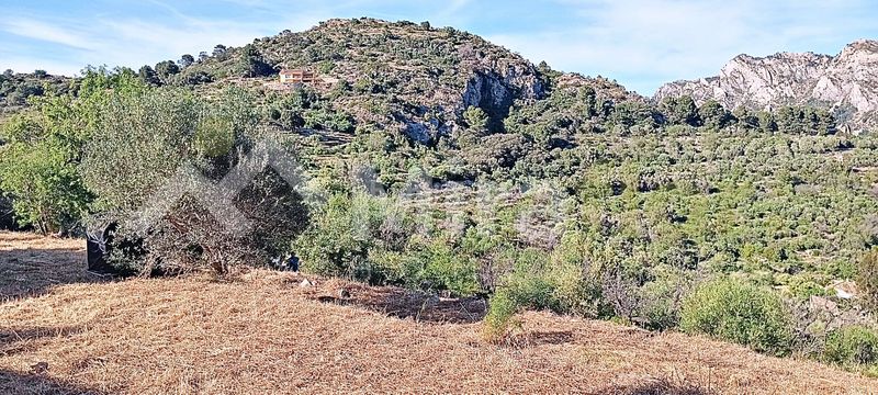 Foto ceecc570-a840-485a-9942-66845b631f7a. Finca rústica a Castell de Castells