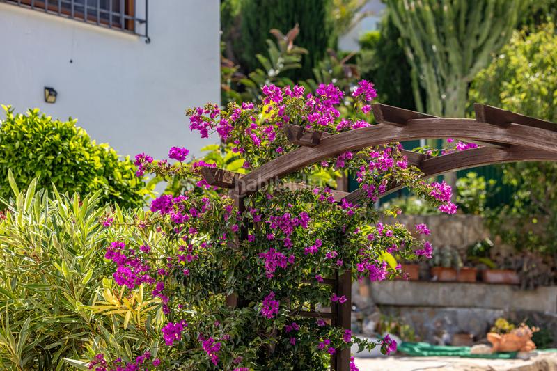 Foto 4c3d219f-f29d-48cb-b9e1-647fe0702221. Chalet en venta en denia este acogedor y soleado chalet de estilo rústico, con unas vistas impresionantes al montgó en Dénia