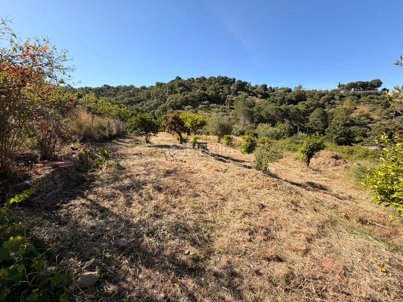 Foto 2b66733d-f8ec-493f-90e7-9c03a1795473. Finca rústica a Ojén pueblo Ojén