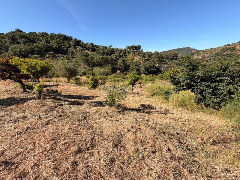 Foto 46b17047-f7ad-4c39-8fc1-15a37f66f24e. Finca rústica a Ojén pueblo Ojén
