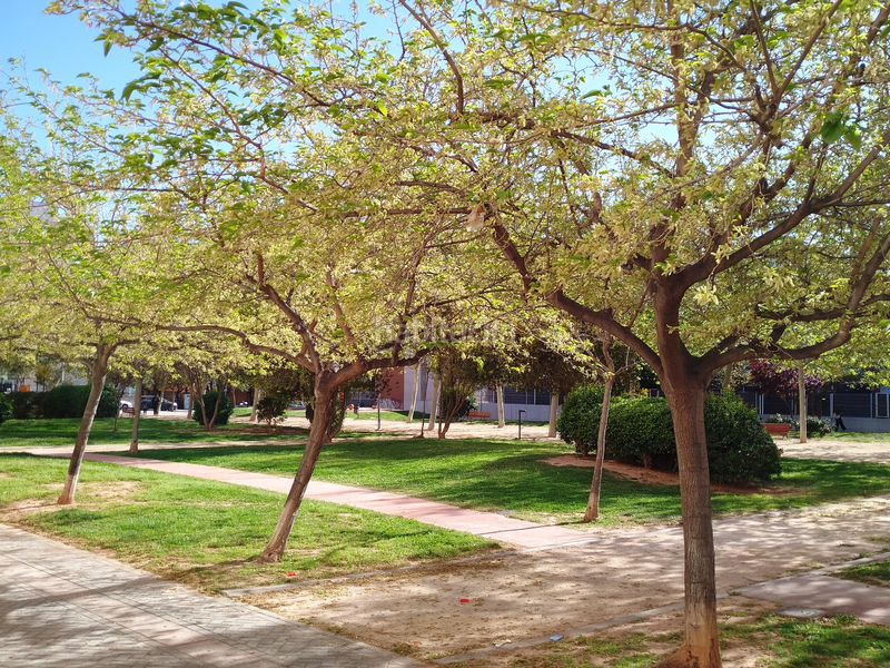 Foto 056cb9a3-0d78-4965-993b-dc1cc9bbfd4c. Pis amb piscina a Valterna Paterna