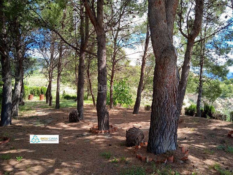 Foto 5ab78c58-eec8-4ca2-985e-bf28f05235f8. Mas avec chauffage parking piscine dans Xixona