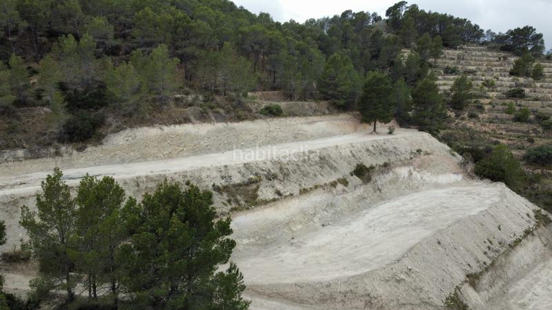 Foto 6dff9833-ca60-44f2-8730-3842b9b8b3a6. Propriété dans Xixona