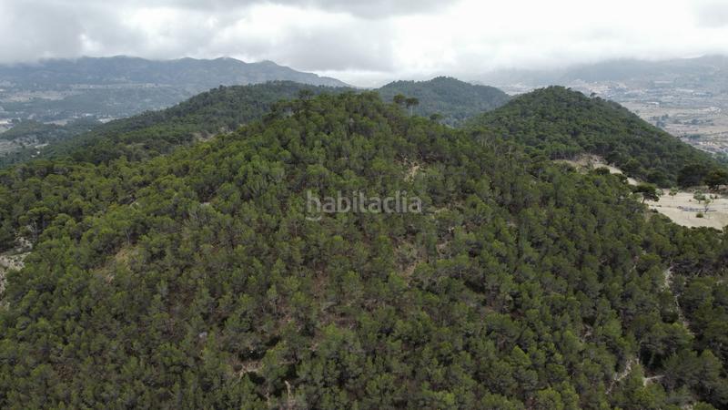 Foto 89699183-fd17-4817-868d-343d103ae6b5. Propriété dans Xixona