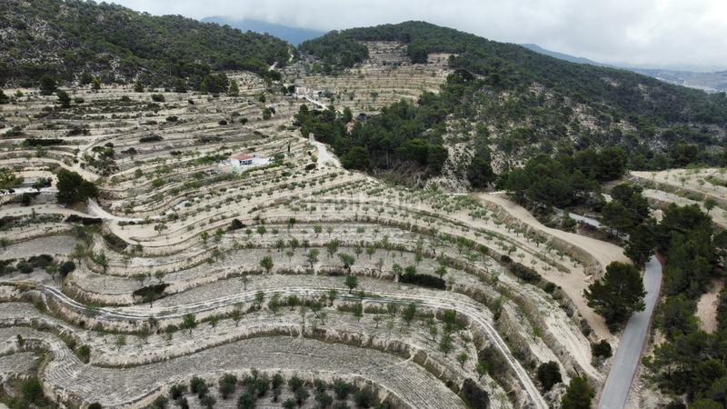 Foto 93b6f524-7662-48cc-a840-4df4440090f3. Propriété dans Xixona