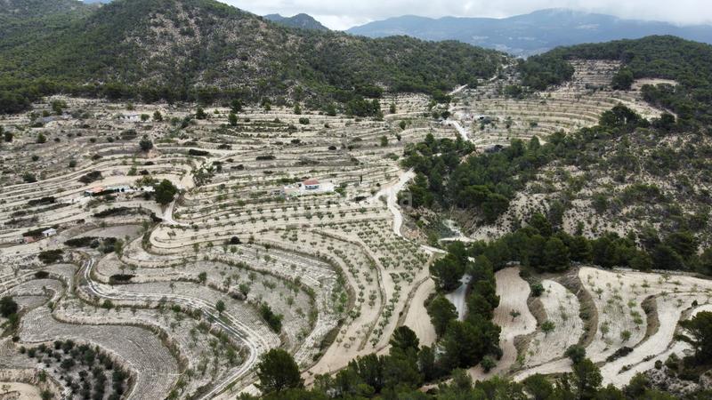 Foto c759795c-33d8-4c83-a6fc-c122b33d0ba9. Propriété dans Xixona