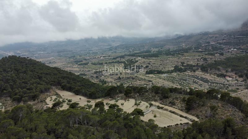 Foto e87da330-e881-441d-81cb-aedf789e4140. Propriété dans Xixona