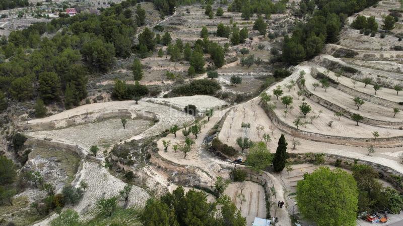 Foto fce4ac9d-9973-4eaf-9eae-bd42597a347b. Propriété dans Xixona