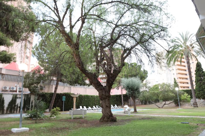 Foto 3af55299-f8cc-4ebd-b282-f8418ef789e1. Location attique avec chauffage parking piscine dans Alicante