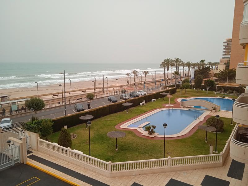 Foto 33df636f-a6da-4b8f-a04d-acfd83ee68cc. Rent flat with parking pool in Playa Muchavista Campello (el)