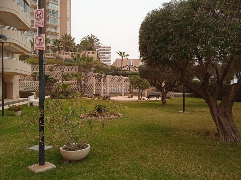 Foto 71658329-b145-44b9-8067-7cf9ac7abad7. Rent flat with parking pool in Playa Muchavista Campello (el)