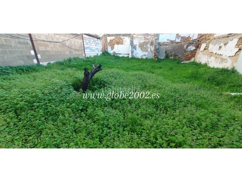Foto d0bf8109-f6ba-4ab5-9ec0-f35009d36b7e. Finca rústica a El Carmen San Fernando