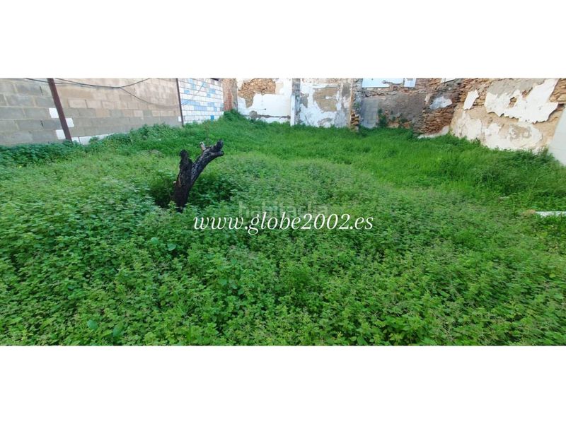 Foto ead78bd4-a997-414b-a8b6-d7c17aa39878. Finca rústica a El Carmen San Fernando