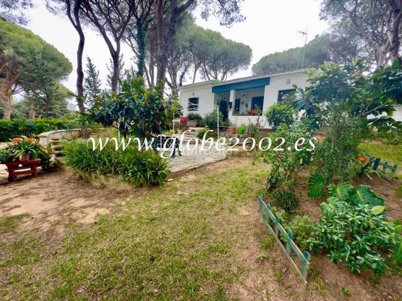 Foto e4749c8b-001f-402c-bf78-1eac2981e77f. Chalet venta de villa en Los Franceses - La Vega Chiclana de la Frontera