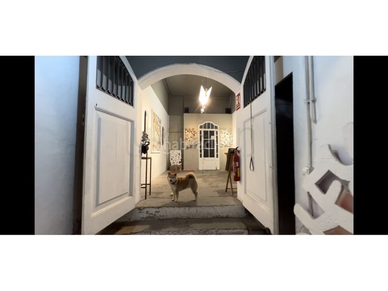 Foto b3aeb0a9-18d2-44df-8a23-555a50ba8045. Local comercial a Gòtic Barcelona