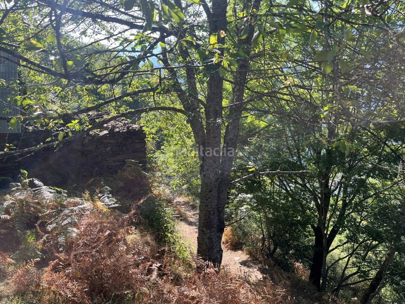 Foto 01bf4334-dffc-43dd-a10f-fe024cfc6496. Casa a Bausen