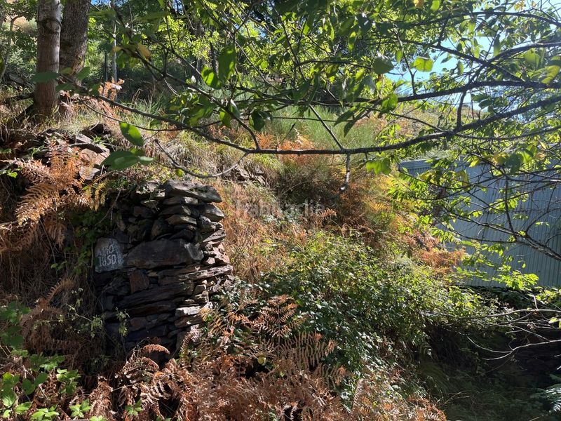 Foto 8a78f1c6-dbbd-435e-b95b-5e48dbbdf846. Casa a Bausen