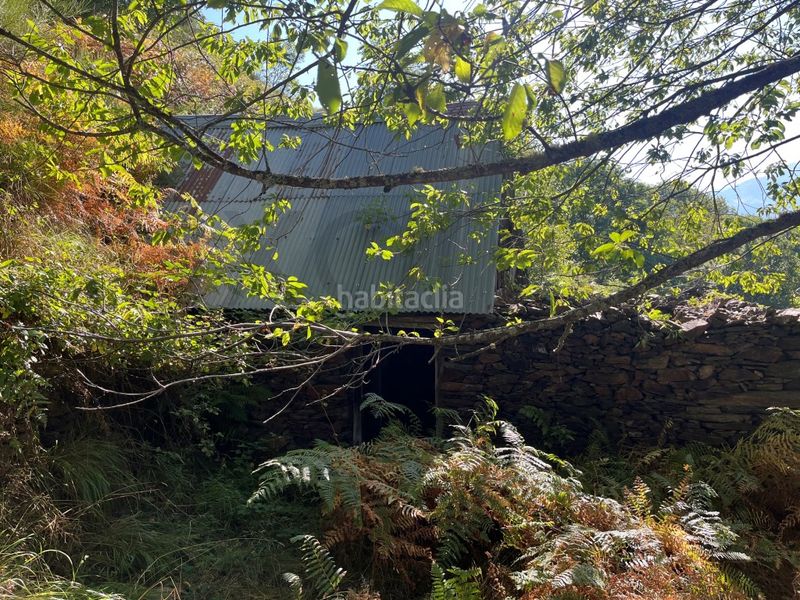 Foto e31f8f5d-f0d3-41c7-a95b-319a946e276b. Casa a Bausen