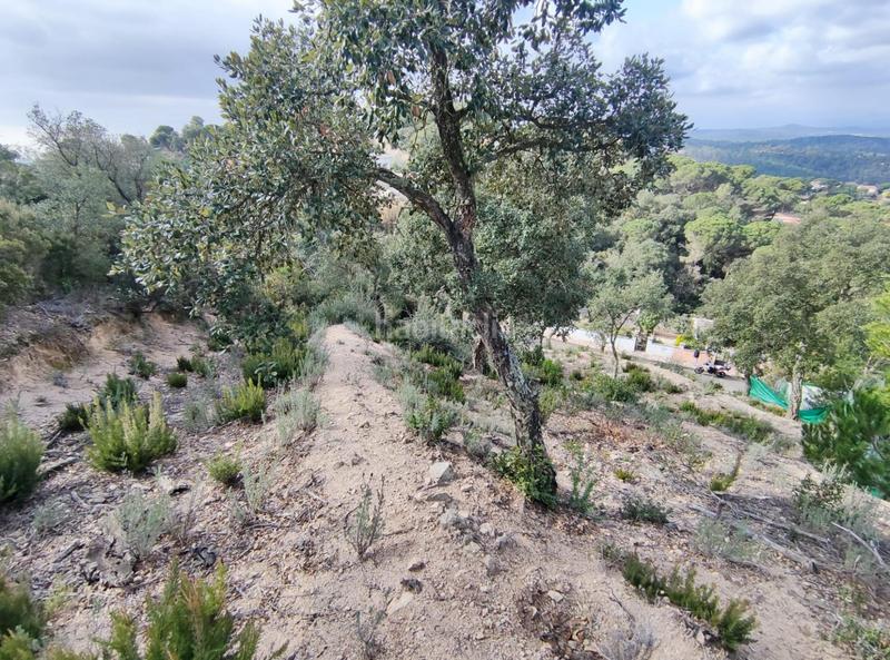 Foto 0cf9c44e-087e-468c-a512-b7eac288a80a. Wohngrundstück in Lloret Residencial - Montlloret Lloret de Mar