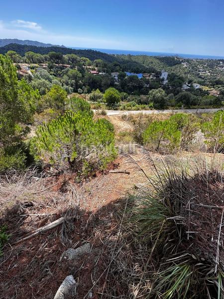 Foto cf1eadef-530d-471a-96af-46c4e90f8d15. Wohngrundstück in Lloret Residencial - Montlloret Lloret de Mar