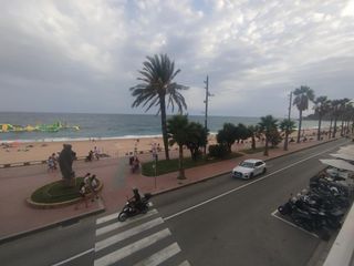 Rent Flat  De camprodon i arrieta. Piso en alquiler, 1a linea de mar