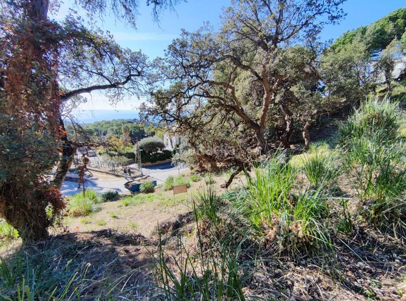 Foto 430dd829-2579-4909-9504-1ef9b3ce8cfa. Terreny residencial a Roca Grossa Lloret de Mar