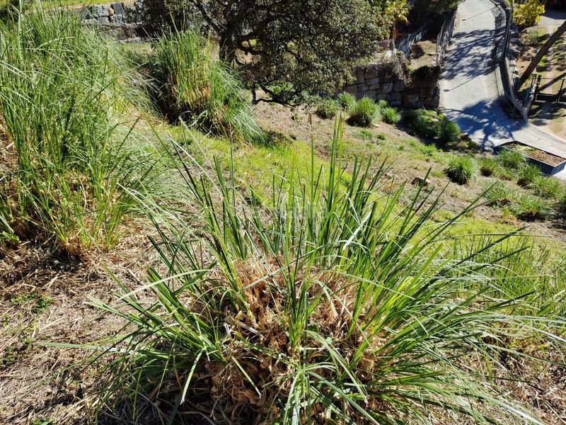 Foto 51d3aa5d-e3f1-4197-a09e-489d4f2b6a50. Terreny residencial a Roca Grossa Lloret de Mar