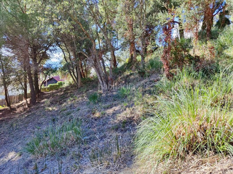 Foto 9136f413-6493-4b10-bcd4-a0ccd7fe622e. Terreny residencial a Roca Grossa Lloret de Mar