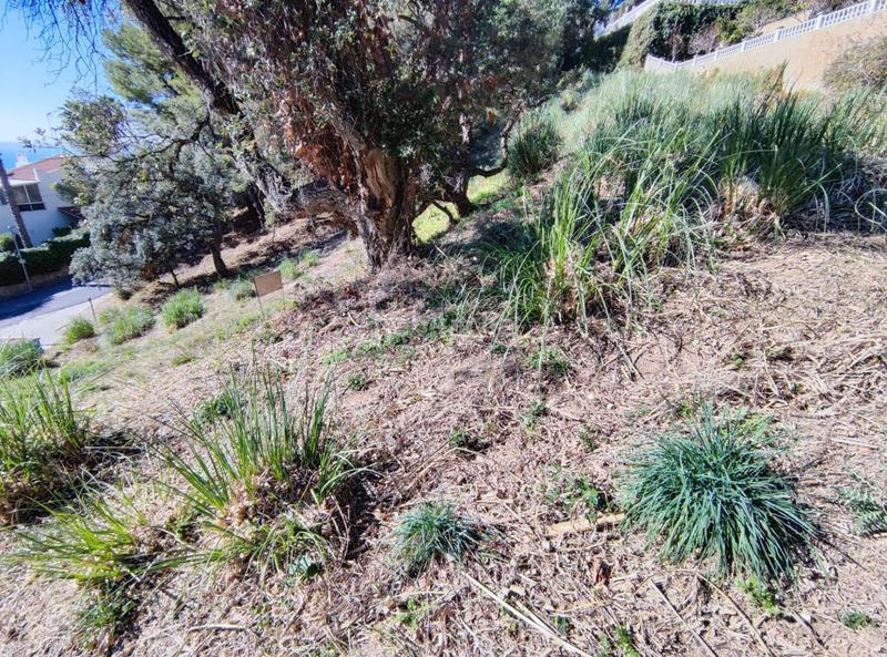 Foto 3379aed9-cb15-4efa-963d-4f97e8af95c9. Terreno residenziale in Roca Grossa Lloret de Mar