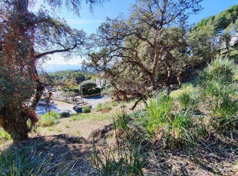 Foto 430dd829-2579-4909-9504-1ef9b3ce8cfa. Terreno residenziale in Roca Grossa Lloret de Mar