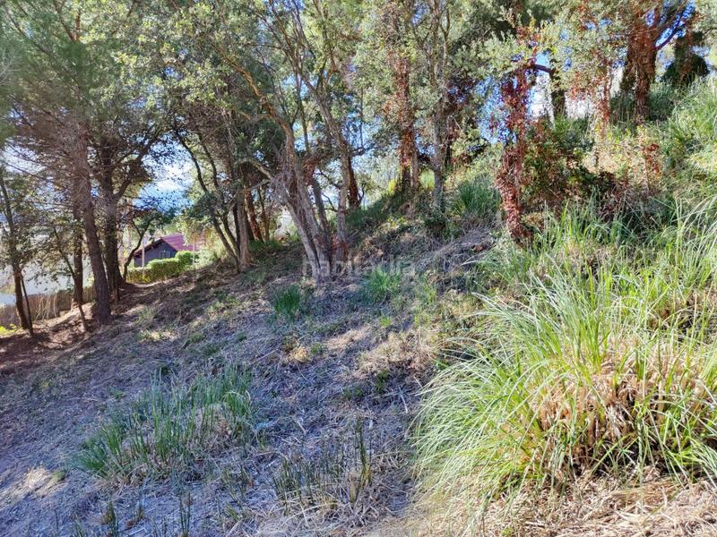 Foto 9136f413-6493-4b10-bcd4-a0ccd7fe622e. Terreno residenziale in Roca Grossa Lloret de Mar