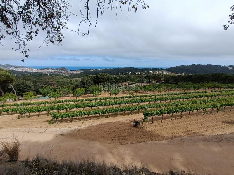 Foto 08187cda-471c-41d7-8519-b3a02acc0aa3. Terreno residenziale in Condado del Jaruco - Puigventós Lloret de Mar