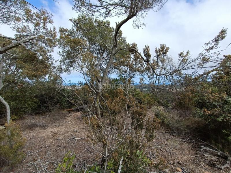 Foto 3bddbfa1-57fe-4030-9cc6-2678356d1673. Terreno residenziale in Condado del Jaruco - Puigventós Lloret de Mar