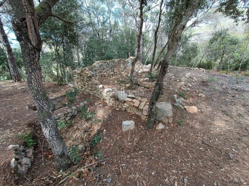 Foto 6a456c66-0169-4aa0-b5ec-f203a41e74e9. Terreno residenziale in Condado del Jaruco - Puigventós Lloret de Mar