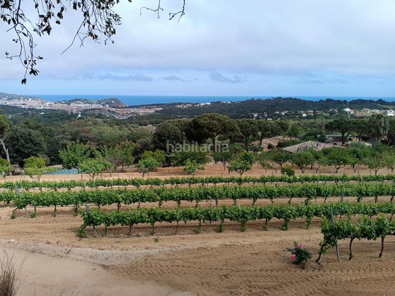 Foto 9afe2385-dc0f-4998-970a-3062ce83b083. Terreno residenziale in Condado del Jaruco - Puigventós Lloret de Mar