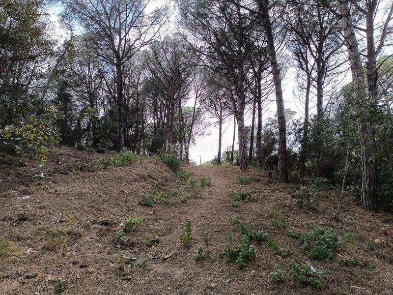 Foto a7113ee9-0fce-4f7b-9251-1f13a126af8a. Terreno residenziale in Condado del Jaruco - Puigventós Lloret de Mar