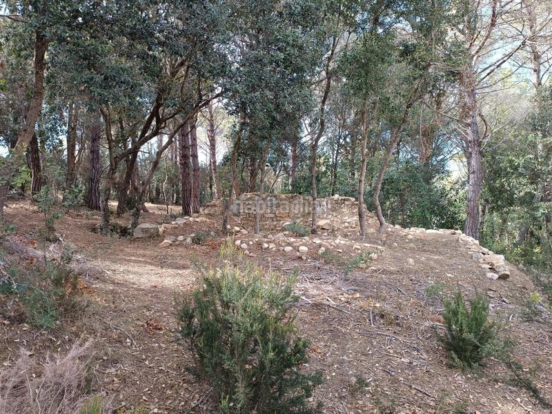 Foto a9bd504b-2e62-415d-a4ff-90ebf264d379. Terreno residenziale in Condado del Jaruco - Puigventós Lloret de Mar