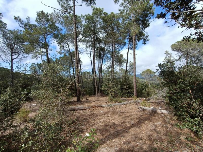 Foto ad2137ca-5217-4515-bff1-8ba5ac6184aa. Terreno residenziale in Condado del Jaruco - Puigventós Lloret de Mar