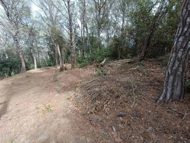 Foto d6863878-745a-468f-8cdf-6e9e8369a3a9. Terreno residenziale in Condado del Jaruco - Puigventós Lloret de Mar