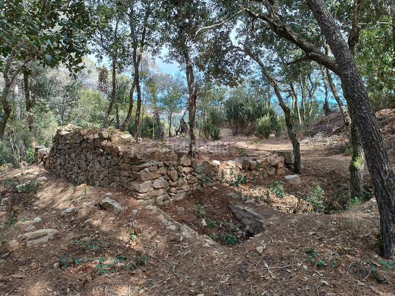 Foto e9cea8af-f380-4c0f-81c3-dff131963ad7. Terreno residenziale in Condado del Jaruco - Puigventós Lloret de Mar