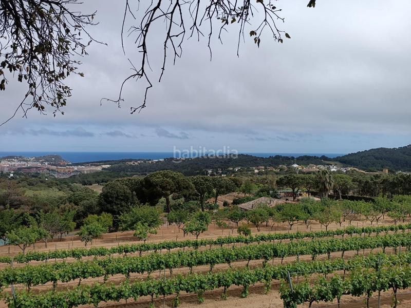 Foto f9ed2bc2-93e2-4f38-8904-1d7b399fabb2. Terreno residenziale in Condado del Jaruco - Puigventós Lloret de Mar