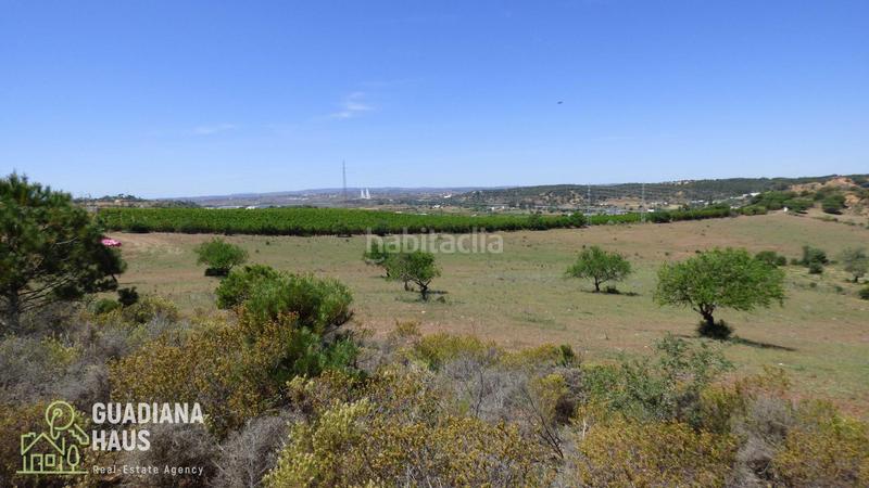 Foto aa3baad4-00df-4d62-bf4c-06c9329469c0. Fondo rustico in calle ds fontanilla 5 in Ayamonte ciudad Ayamonte