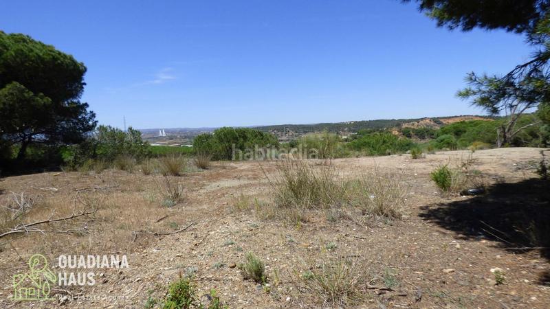 Foto 54ab0e9d-0e2f-4c0e-b8fe-bda203b4932f. Propriété dans calle ds fontanilla 5 dans Ayamonte ciudad Ayamonte