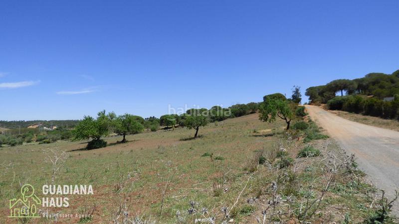 Foto 56be6a9e-1b11-4065-9828-5962b20ad626. Propriété dans calle ds fontanilla 5 dans Ayamonte ciudad Ayamonte