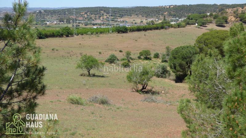 Foto a7b1c0fe-2604-4aa9-993d-fb523b2156d7. Rural plot in calle ds fontanilla 5 in Ayamonte ciudad Ayamonte