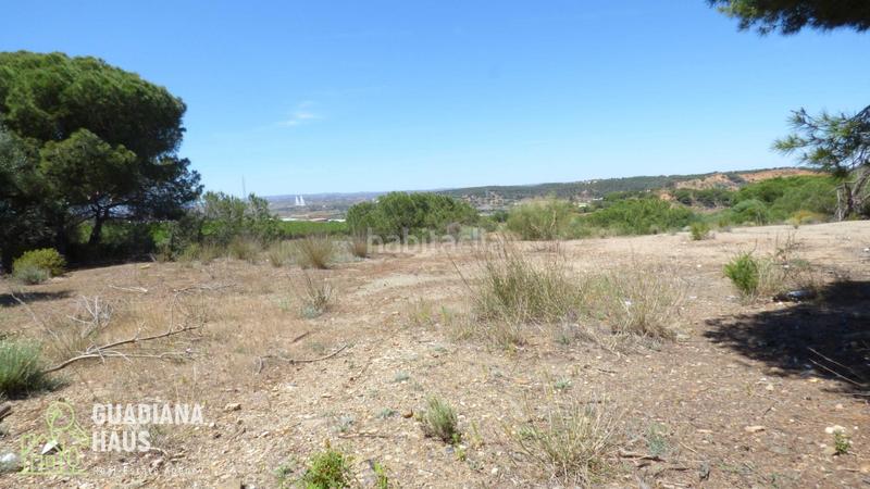 Foto ea40d3e7-8f76-4853-bc61-1194f71337cc. Rural plot in calle ds fontanilla 5 in Ayamonte ciudad Ayamonte