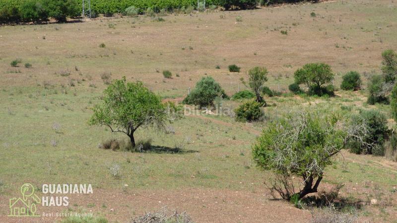 Foto 58fa074c-8ba6-4b77-a333-316ec553079a. Finca rústica a calle ds fontanilla 5 a Ayamonte ciudad Ayamonte