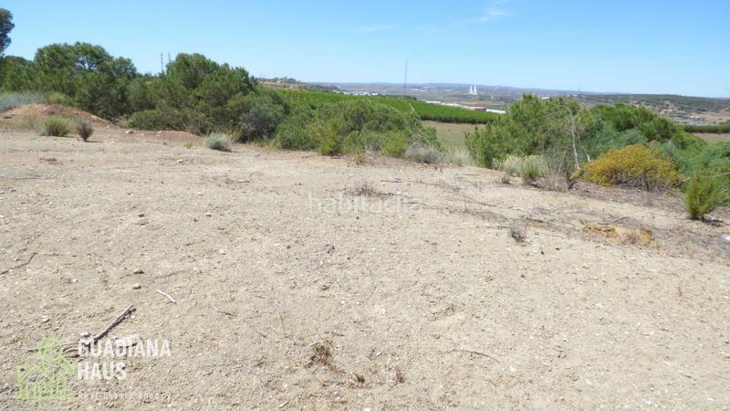 Foto 97ee4351-4e51-4adf-87bb-e29010c111b9. Finca rústica a calle ds fontanilla 5 a Ayamonte ciudad Ayamonte